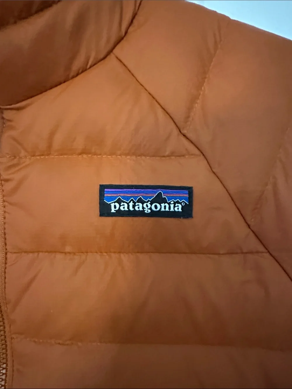 Patagonia Kids Orange Puffer Jacket